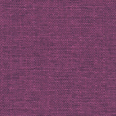 Sky Raspberry