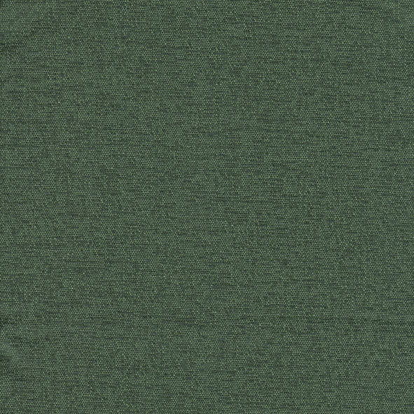 Space Spearmint