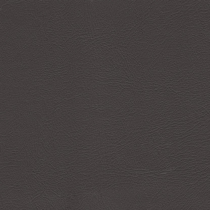 Studio Encore Bark