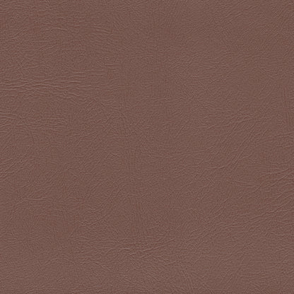 Studio Encore Cedar