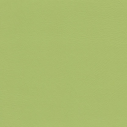 Studio Encore Citronelle
