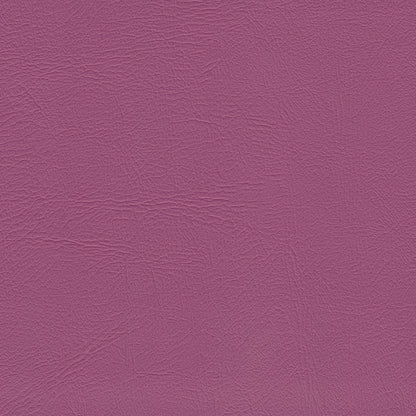 Studio Encore Primrose