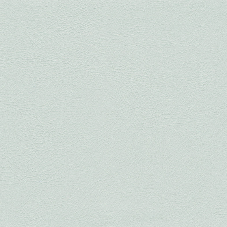 Studio Encore Shell