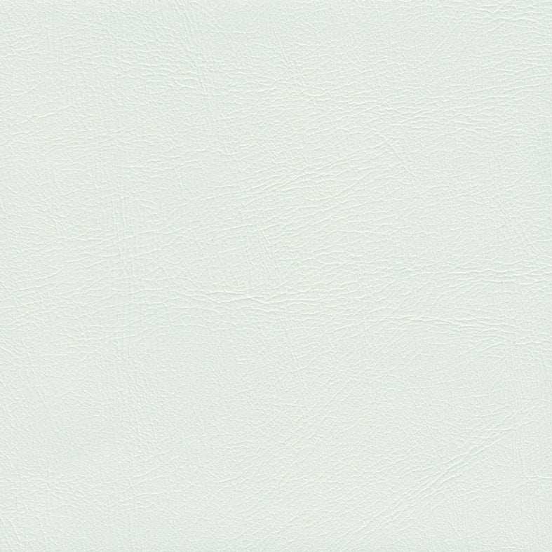 Studio Encore Snow