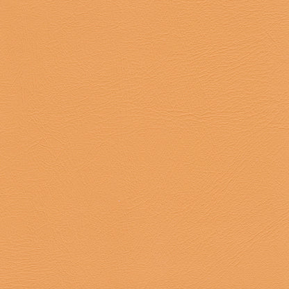 Studio Encore Sorbet