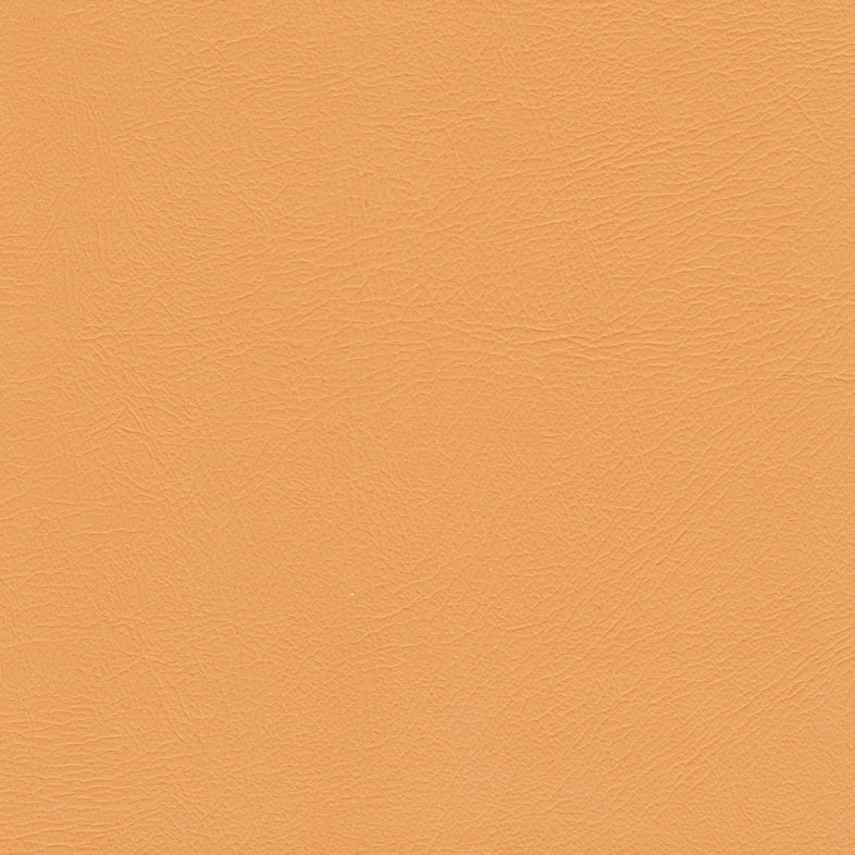 Studio Encore Sorbet