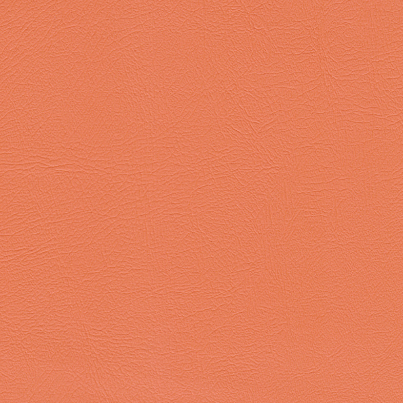 Studio Encore Tangerine