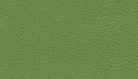 Plush Turtle Green