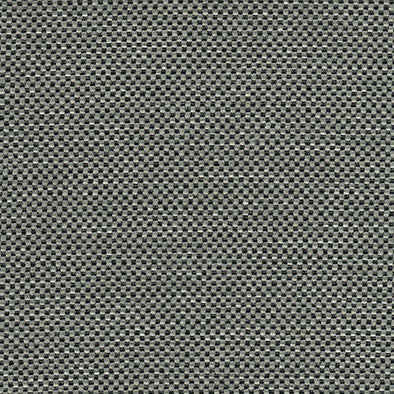 Zane Graphite