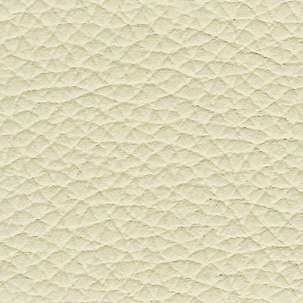 Zefiro Lichene